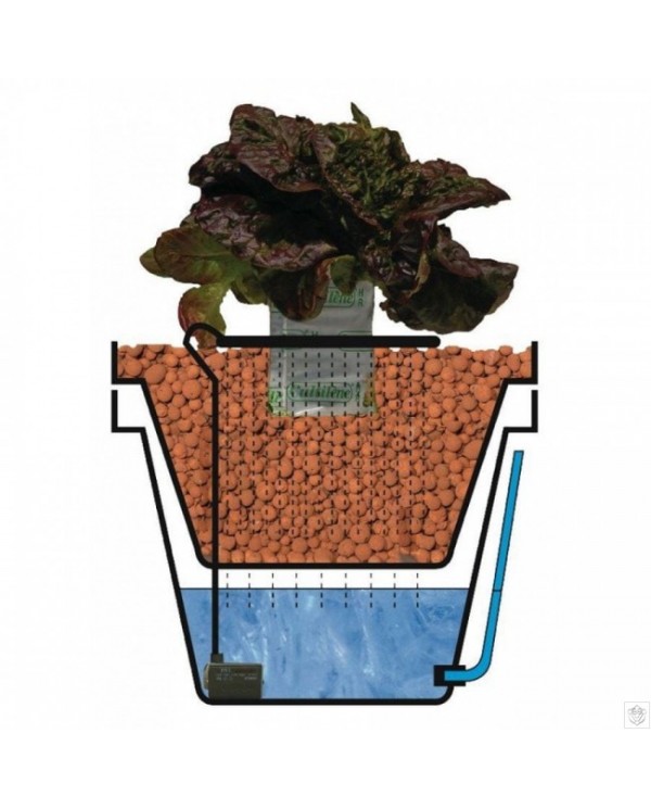 GHE - AquaFarm Dripper System