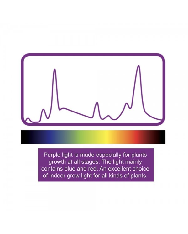 PS1 Propagation Light System