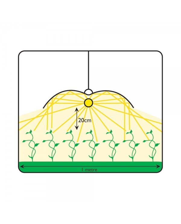 Adjust-A-Wing - Enforcer Reflector