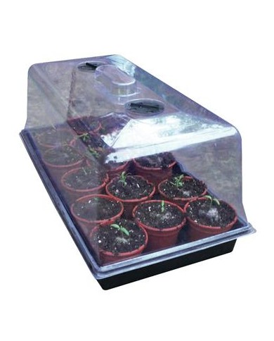 ROOT!T Large Propagator