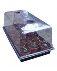 ROOT!T Large Propagator
