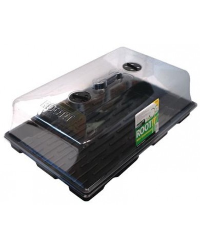 ROOT!T Large Propagator