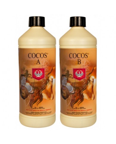 House & Garden - Coco A&B