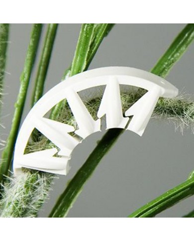 Plant Bends - Pack Of 50