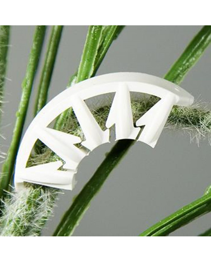 Plant Bends - Pack Of 50