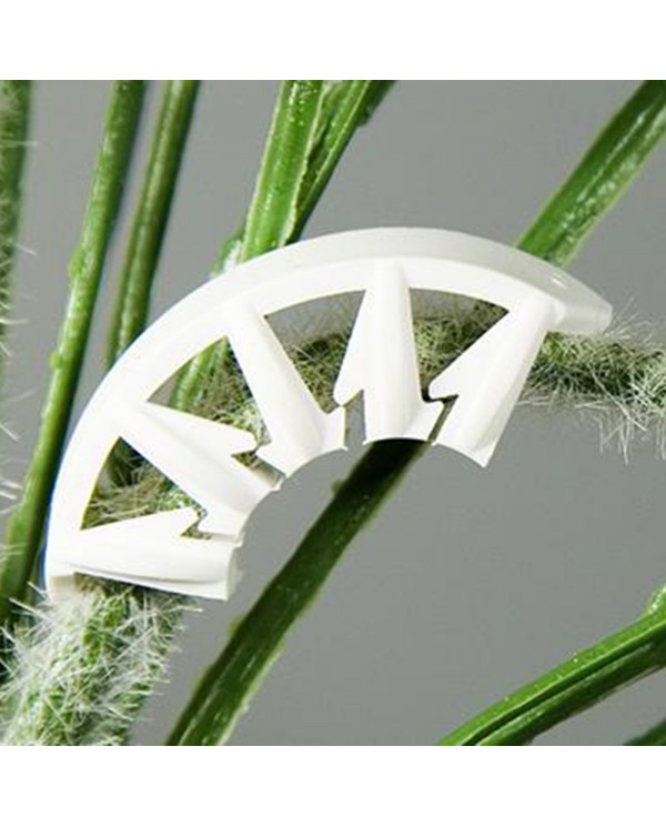 Plant Bends - Pack Of 50