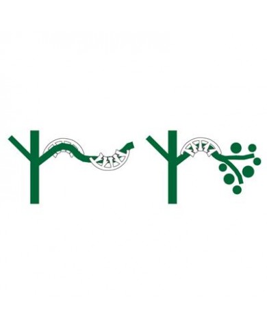 Plant Bends - Pack Of 50