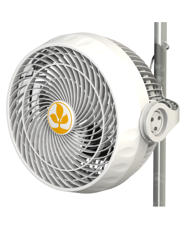 Secret Jardin Monkey Fan - 30W