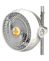 Secret Jardin Monkey Fan - 30W