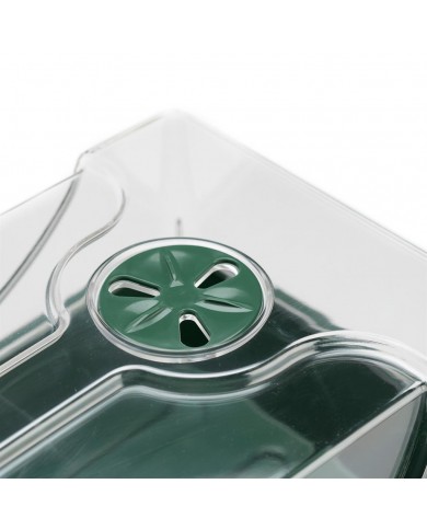 EarlyGrow Medium Propagator