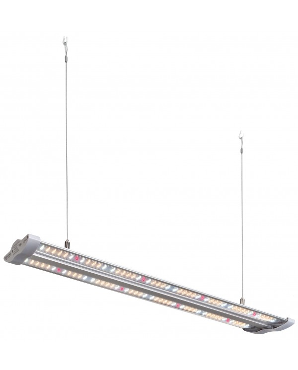 Hortimol Slim 40W (4000K) TLED T5