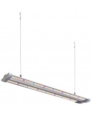 Hortimol Slim 40W (4000K) TLED T5