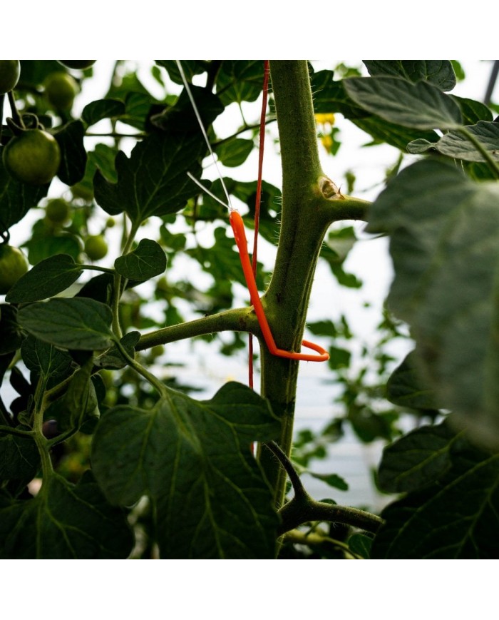 PLANT!T YoYo Plant Supports