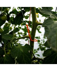 PLANT!T YoYo Plant Supports