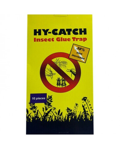 Hy-Catch Insect Blue Glue Trap