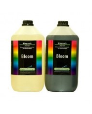 Hydrotops - Bloom (Hydro) A&B Softwater - 25L