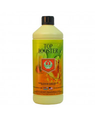 House & Garden - Top Booster House & Garden - Top Booster