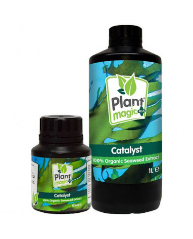 Plant Magic - Catalyst