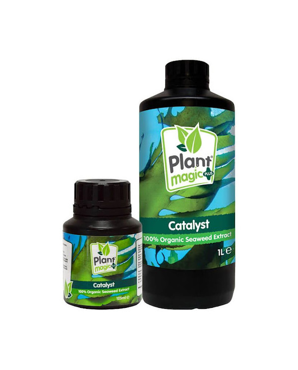 Plant Magic - Catalyst