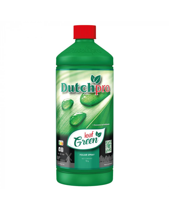 Dutch Pro - Leaf Green