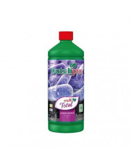 Dutch Pro - Multi Total