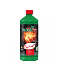 Dutch Pro - Explode