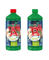 Dutch Pro - Hydro/Coco Bloom A&B Dutch Pro - Hydro/Coco Bloom A&B