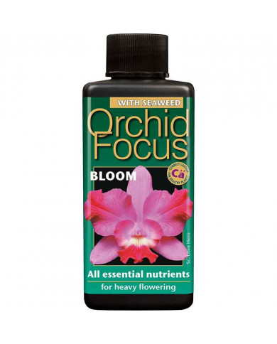 Growth Technology - Orchid Focus Bloom