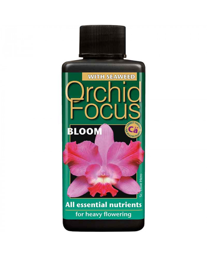 Growth Technology - Orchid Focus Bloom