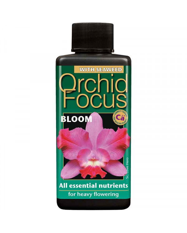 Growth Technology - Orchid Focus Bloom