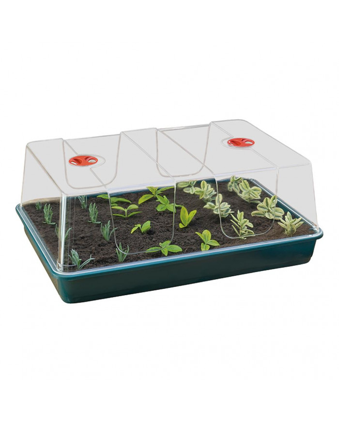 Garland XL High Dome Propagator