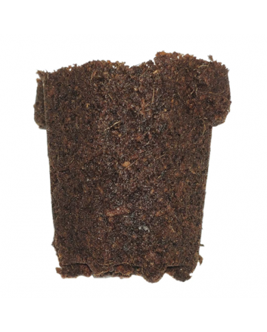 Plug Life Peatmix Cube