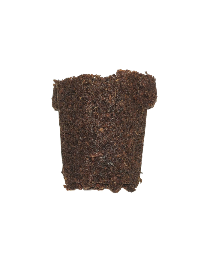 Plug Life Peatmix Cube