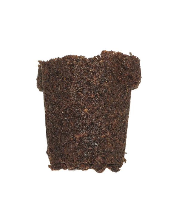 Plug Life Peatmix Cube