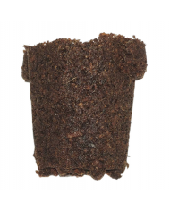 Plug Life Peatmix Cube