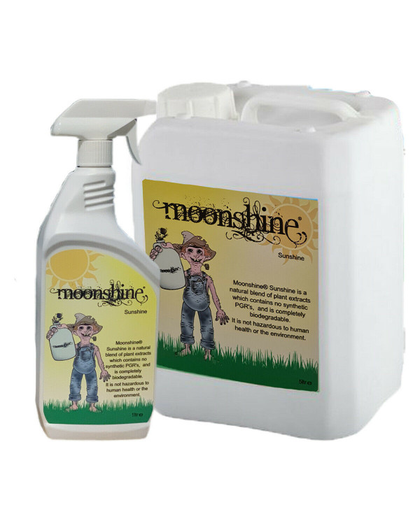 Moonshine - Sunshine Foliar Spray