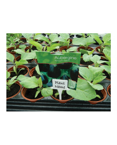 Garland - White Solid Tee Labels