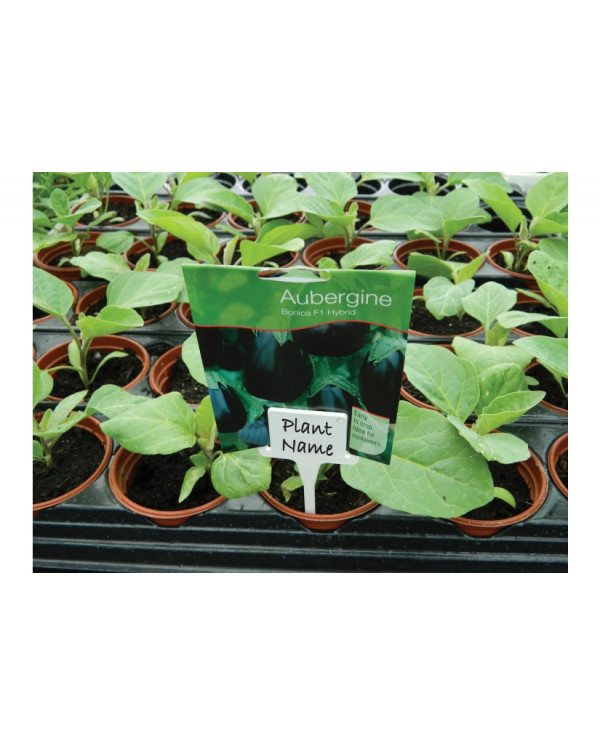 Garland - White Solid Tee Labels