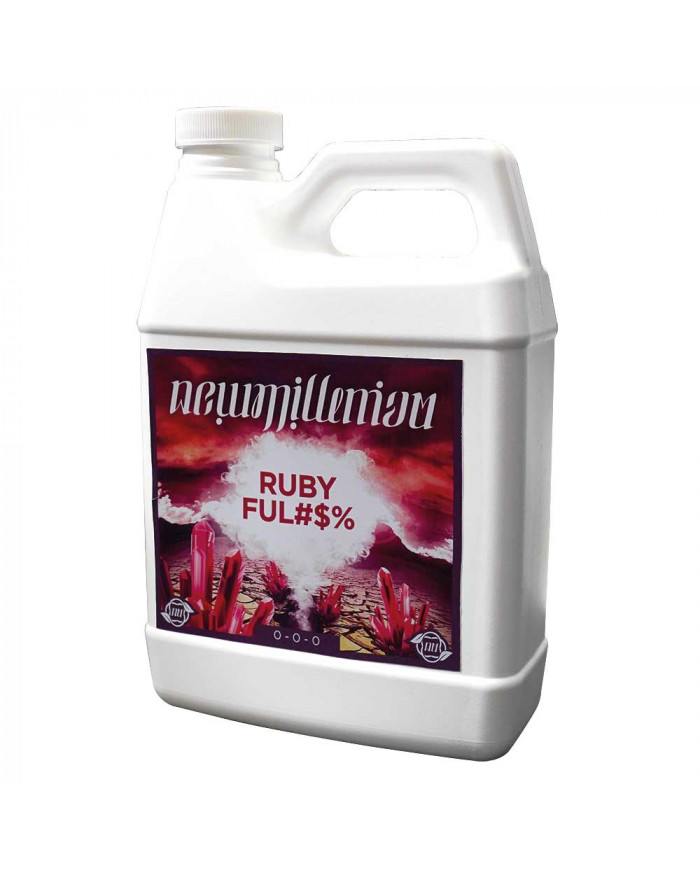 New Millenium - Ruby Ful$%