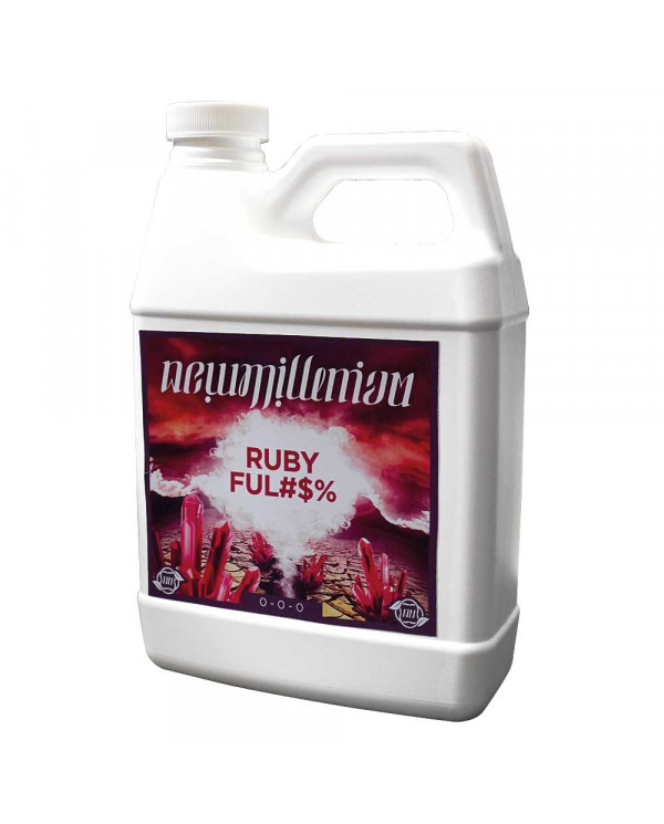 New Millenium - Ruby Ful$%