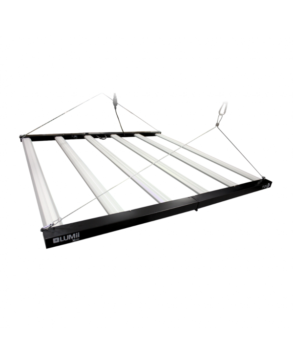 LUMii XLED 720W Fixture