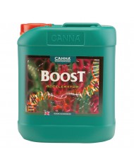 CANNA - Boost Accelerator 5L