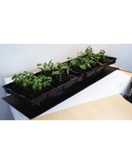 ROOT!T - Heat Mat ROOT!T - Heat Mat