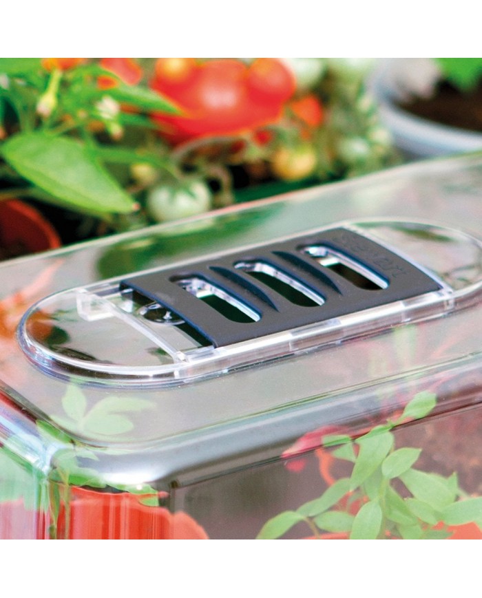 Stewart Medium Unheated Propagator