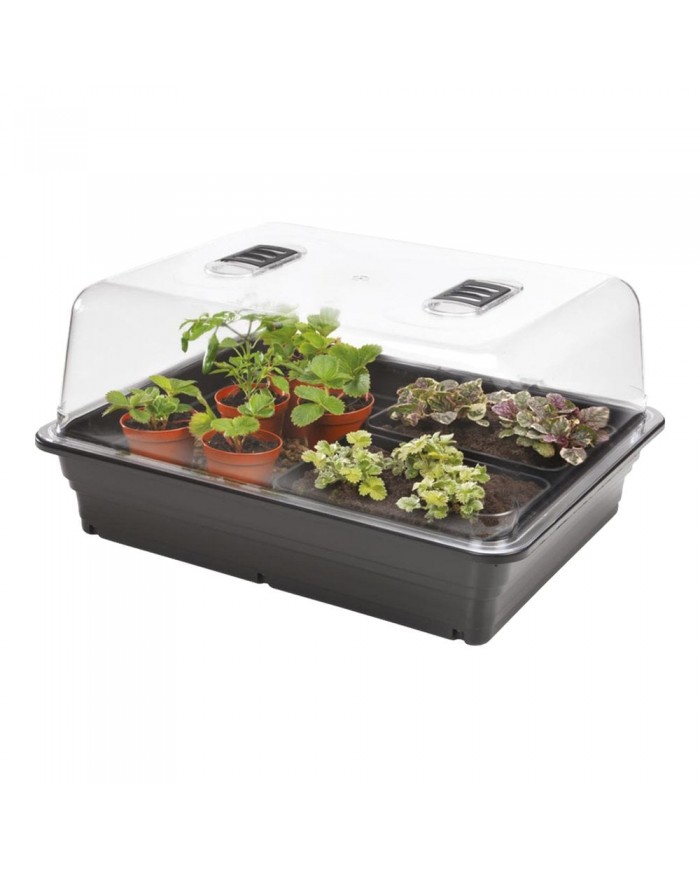 Stewart Medium Unheated Propagator