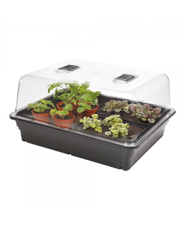 Stewart Large Unheated Propagator