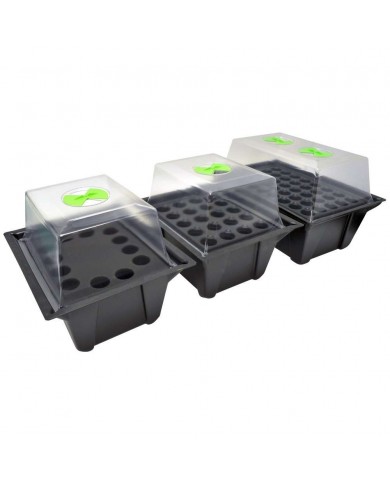 X-Stream Aeroponic Propagator