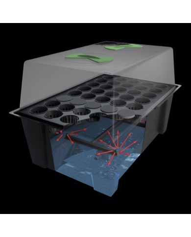 X-Stream Aeroponic Propagator