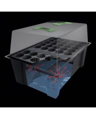 X-Stream Aeroponic Propagator