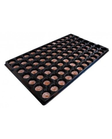 Jiffy-7 84 Cell Tray